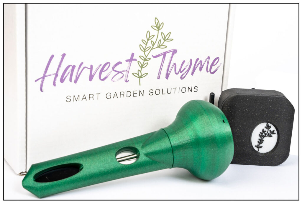 Harvest Thyme 1 pack sensor